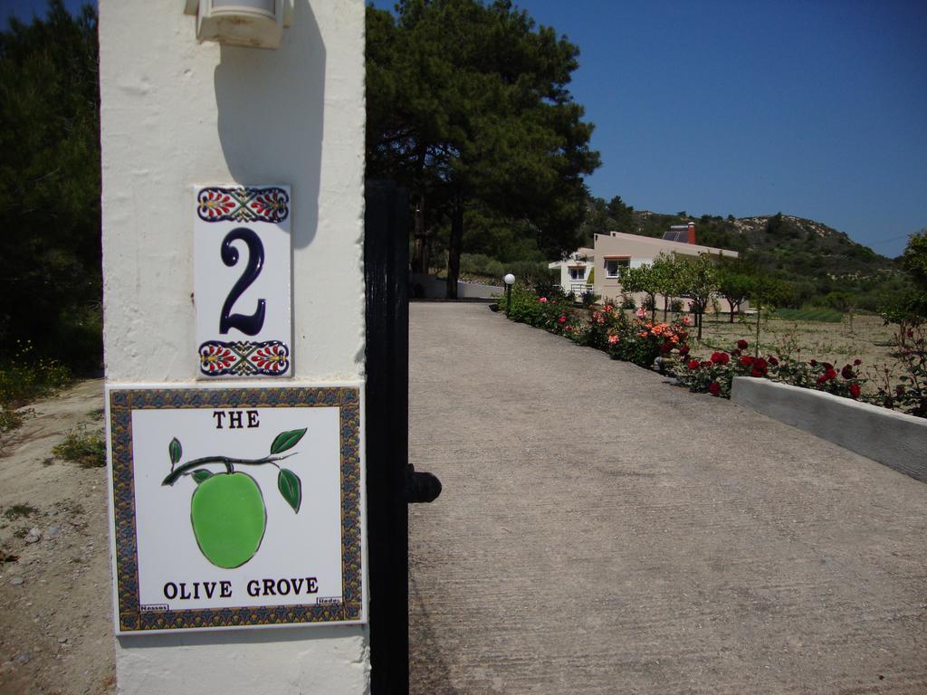 The Olive Grove Villa Private Pool With Star Links Wifi Theológos Exterior foto
