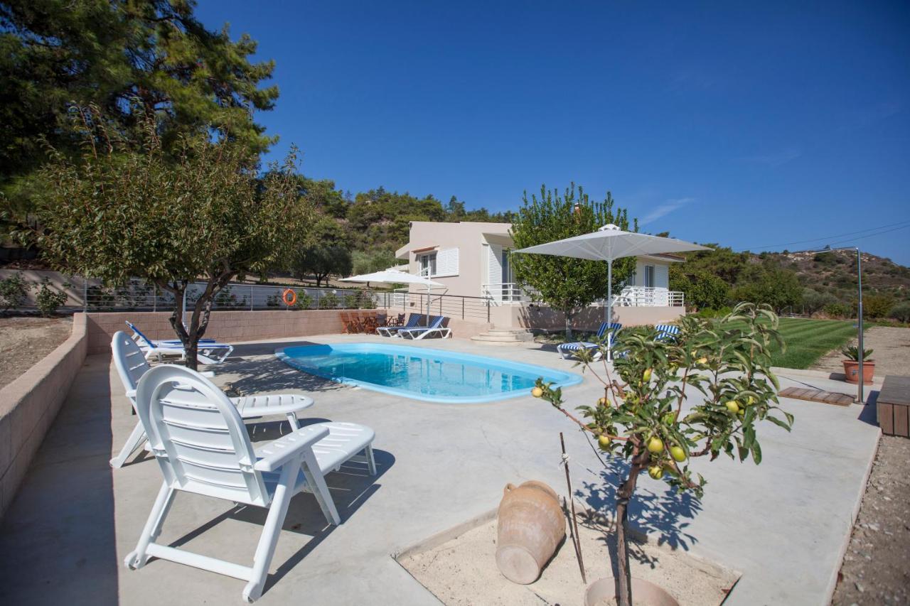 The Olive Grove Villa Private Pool With Star Links Wifi Theológos Exterior foto