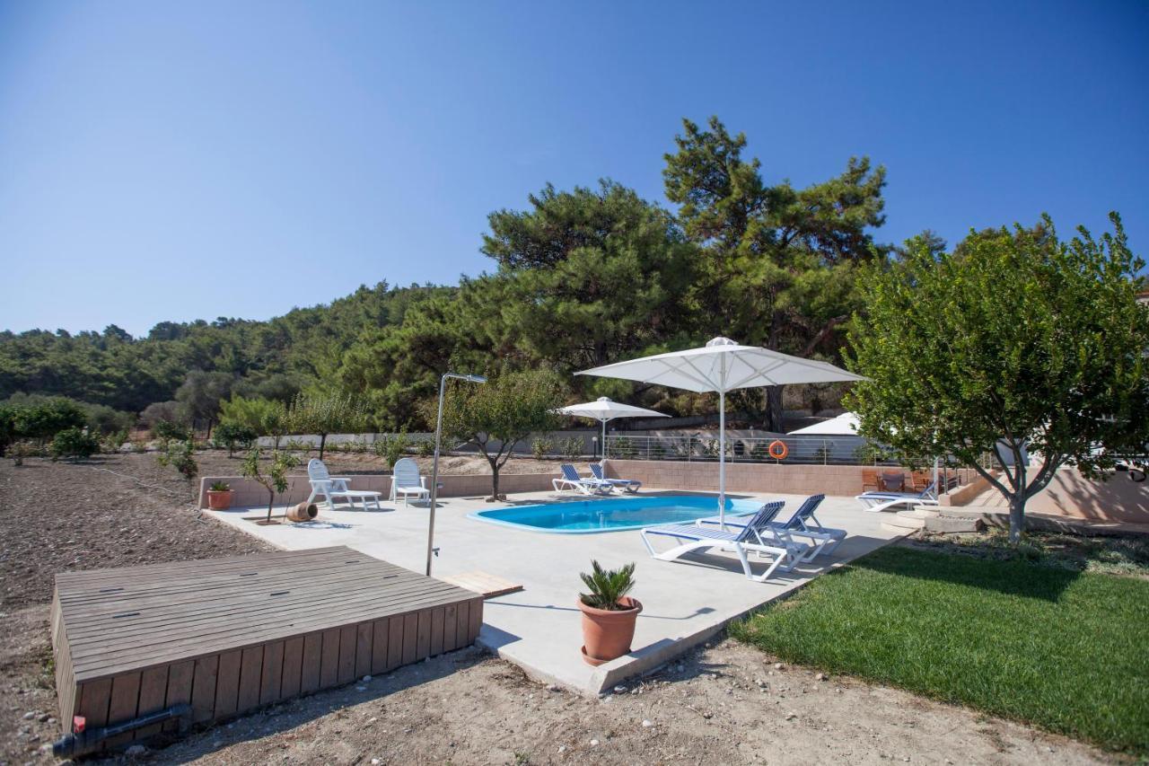 The Olive Grove Villa Private Pool With Star Links Wifi Theológos Exterior foto