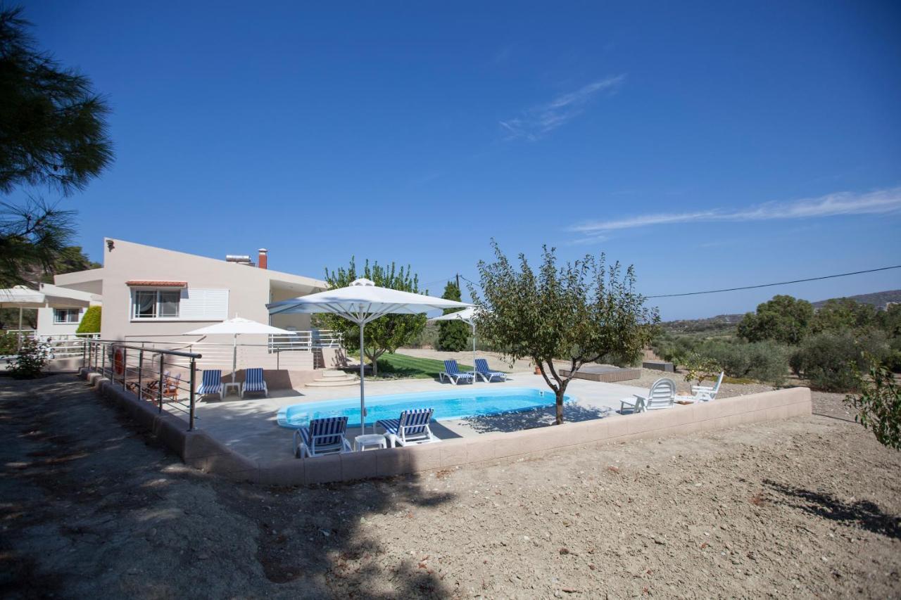 The Olive Grove Villa Private Pool With Star Links Wifi Theológos Exterior foto
