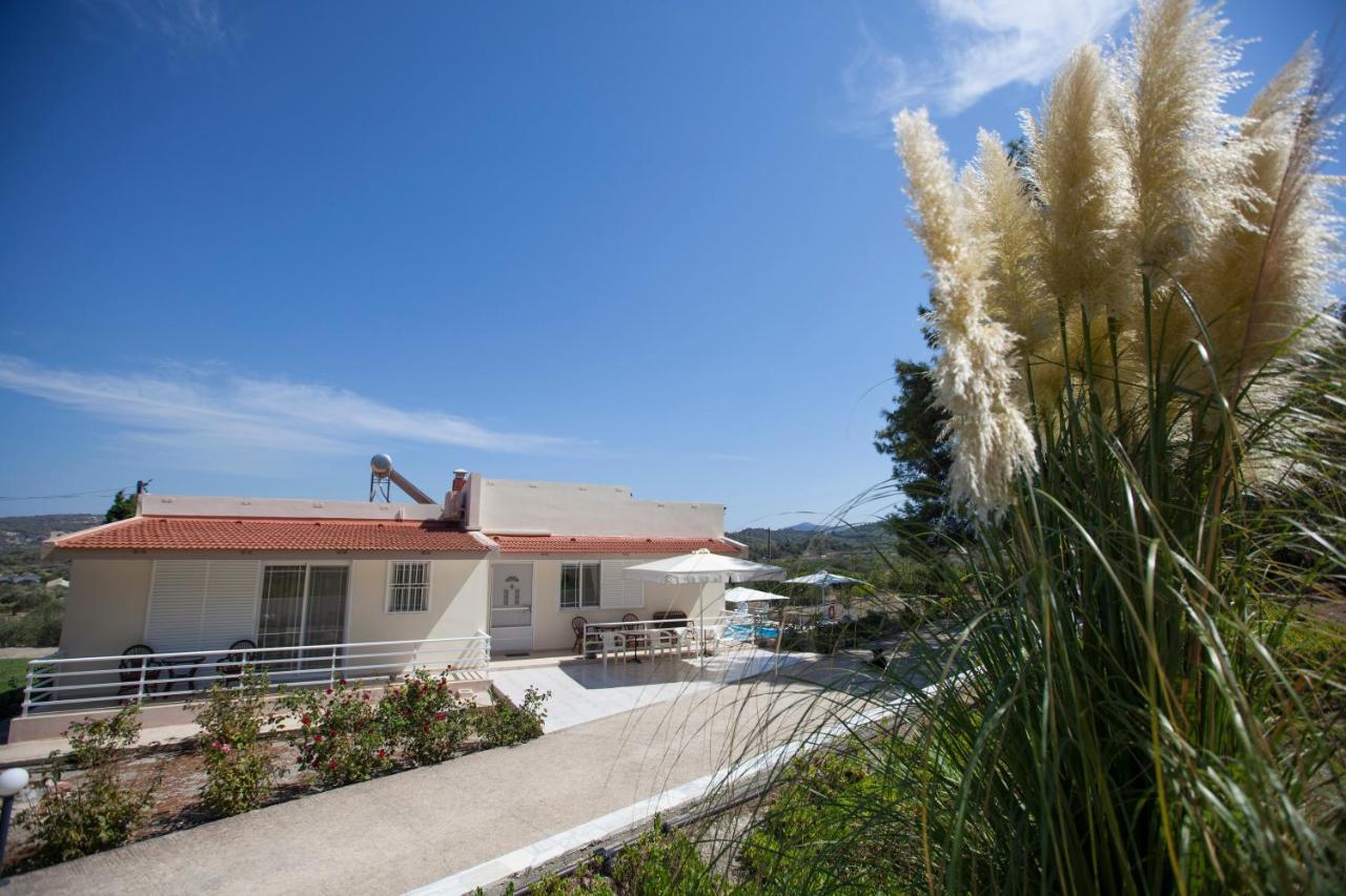 The Olive Grove Villa Private Pool With Star Links Wifi Theológos Exterior foto